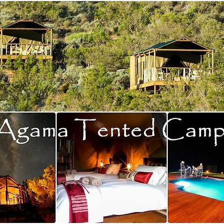 Agama Tented Camp Garies Экстерьер фото