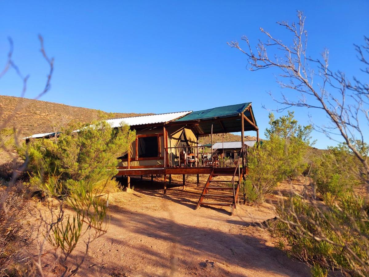 Agama Tented Camp Garies Экстерьер фото
