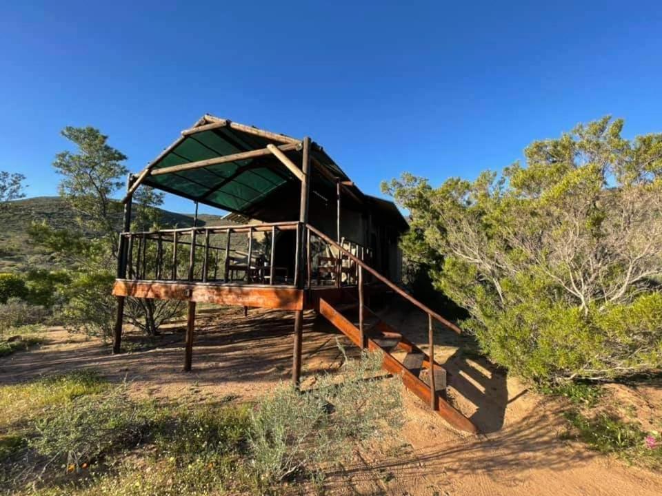 Agama Tented Camp Garies Экстерьер фото