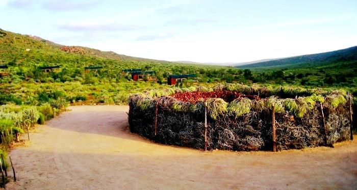 Agama Tented Camp Garies Экстерьер фото