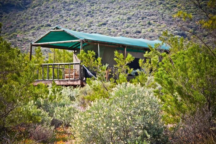 Agama Tented Camp Garies Экстерьер фото