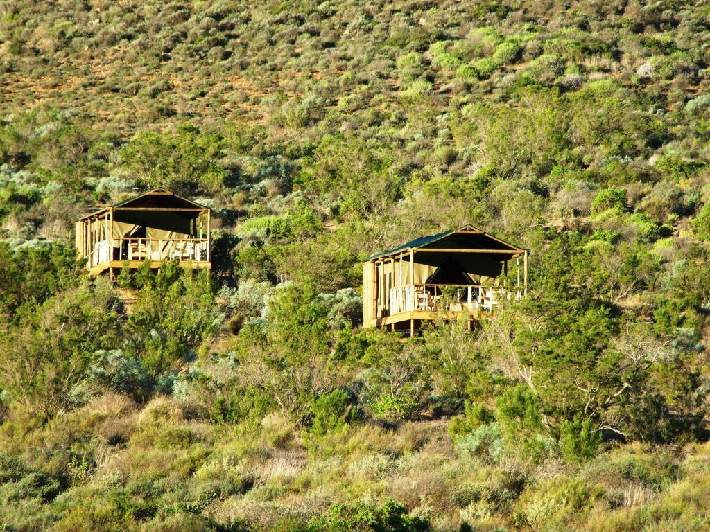 Agama Tented Camp Garies Экстерьер фото