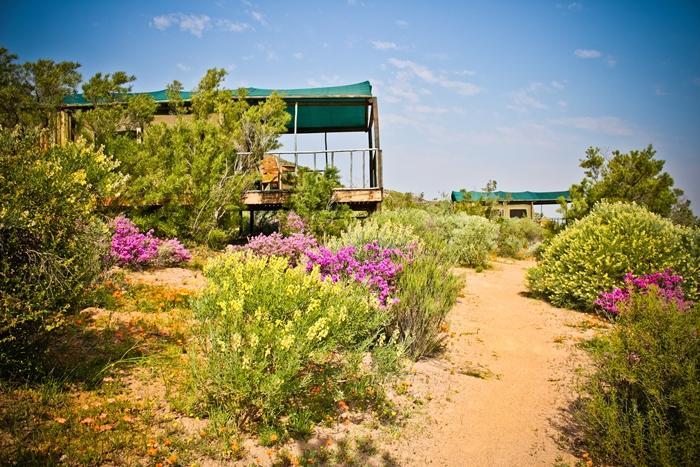 Agama Tented Camp Garies Экстерьер фото