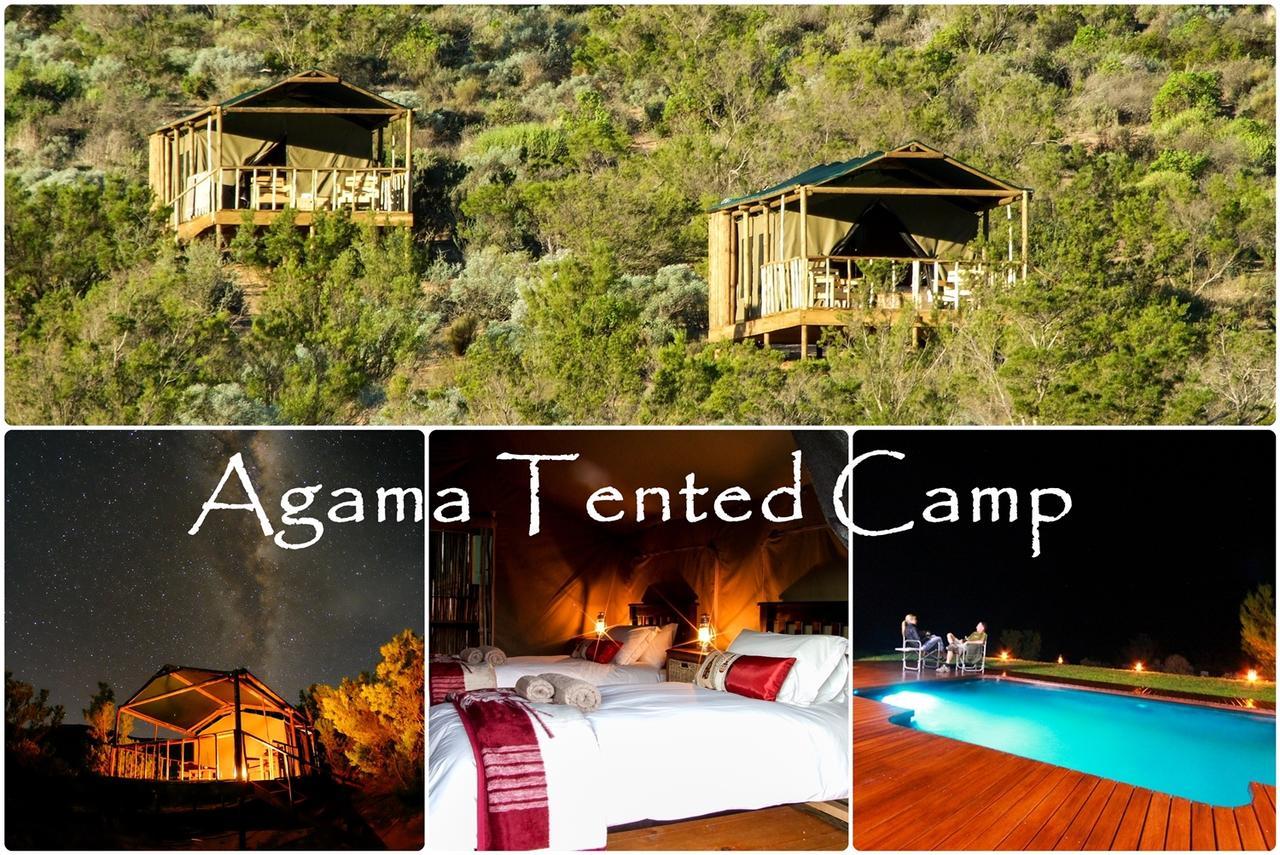 Agama Tented Camp Garies Экстерьер фото